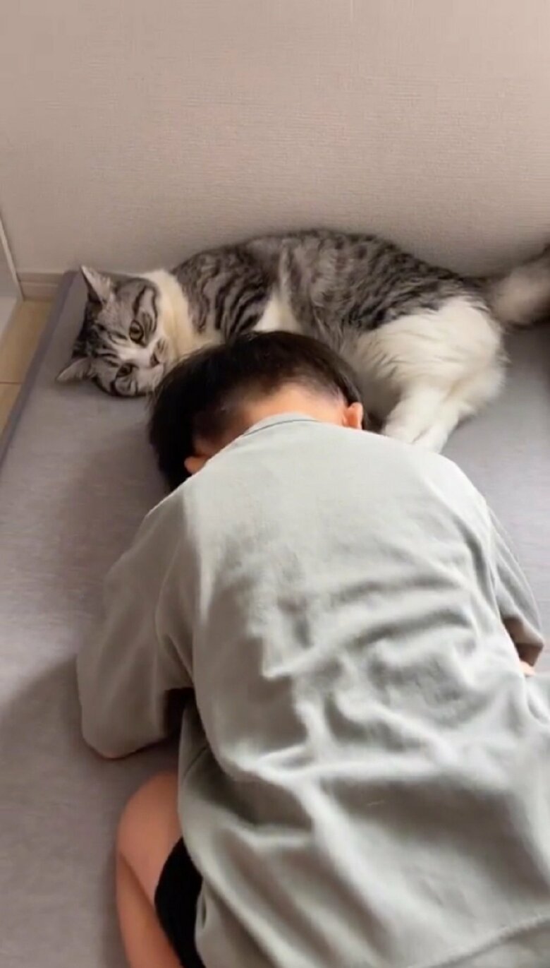 ムチくんの独特なアプローチは成功しているようだ