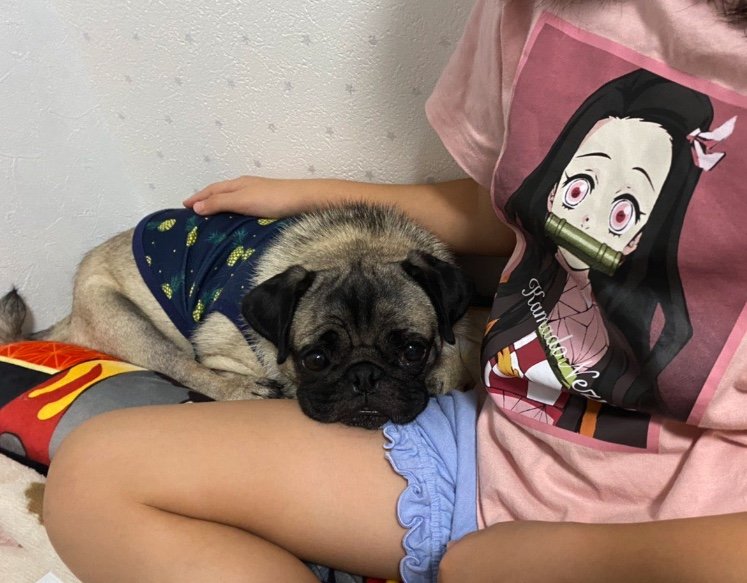 2021年のボンちゃん（提供：ボンさん）