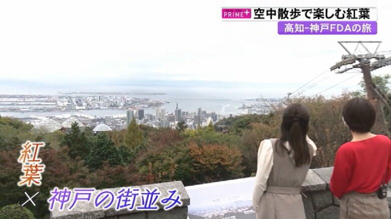 山頂からの大パノラマ