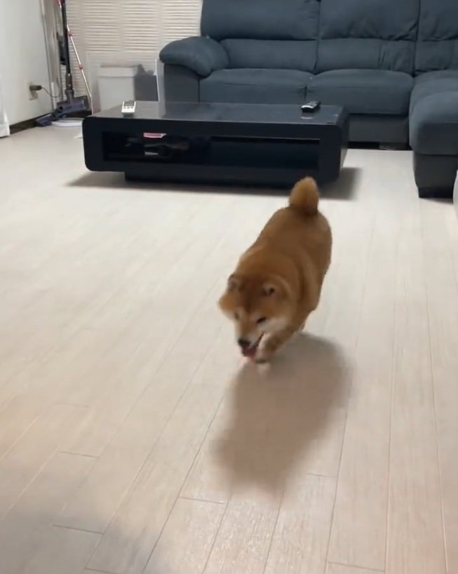 提供：うにandおからさん