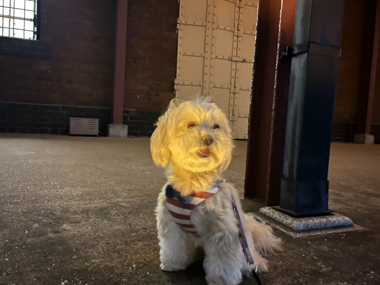 赤れんがで撮った変な顔