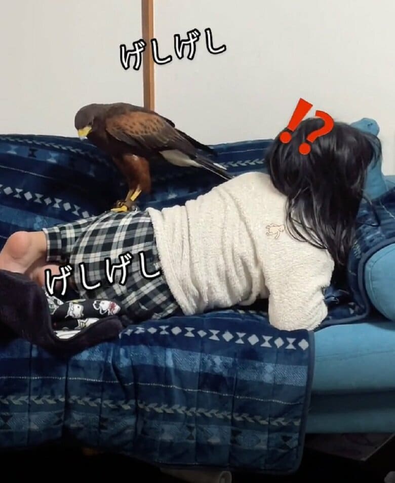 長女さんもさすがに気づくが…