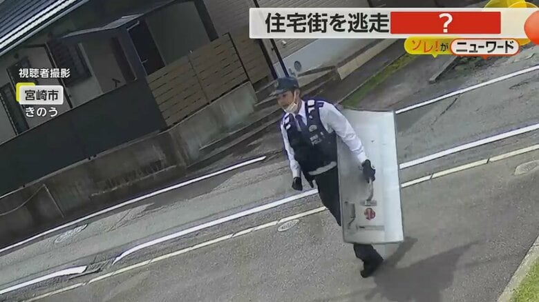 イノシシを捕獲しようとする警察官の姿