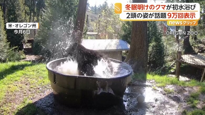 SNSで公開されると、約9万回表示された動画