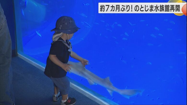 悠々と泳ぐ魚たちに喜ぶ子ども