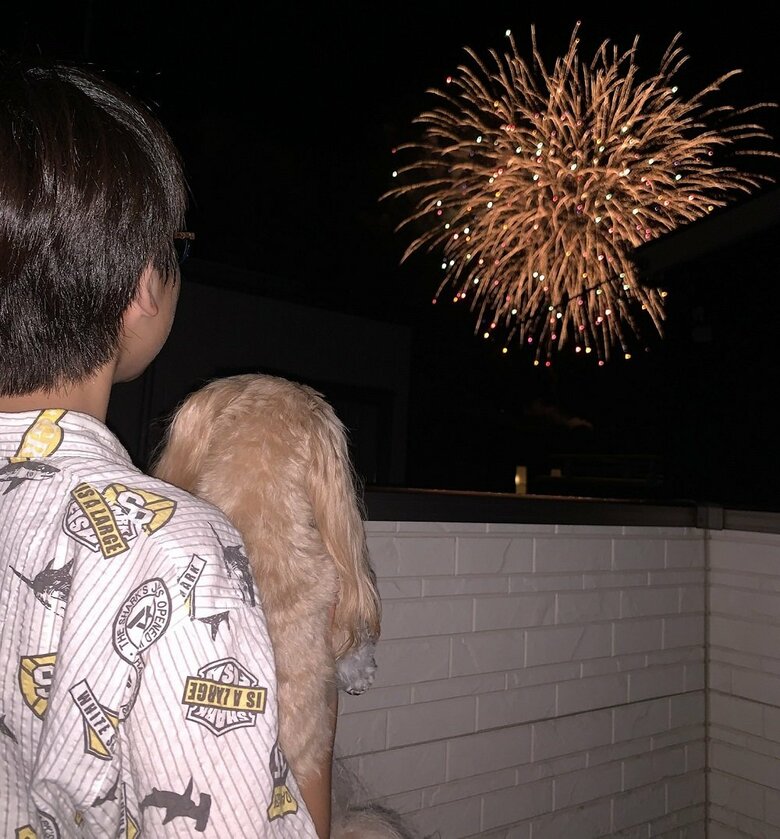 花火を眺める