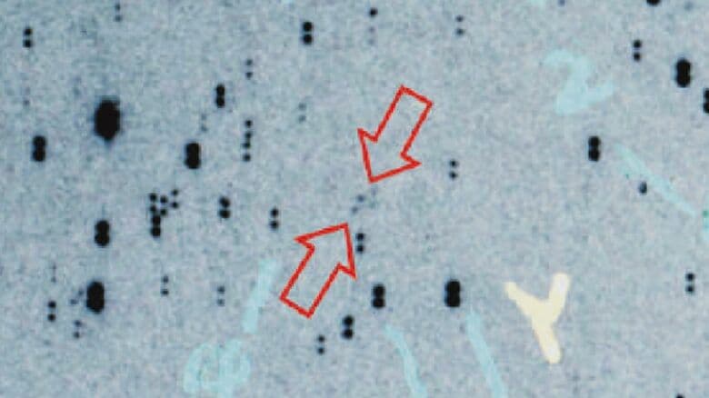 直径推定約3キロで火星と木星の間を3年半かけて公転する小惑星『Meizen』