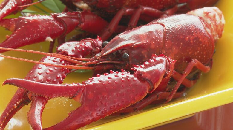 ゆでたザリガニ