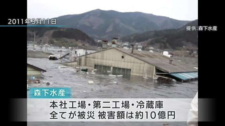 提供：森下水産