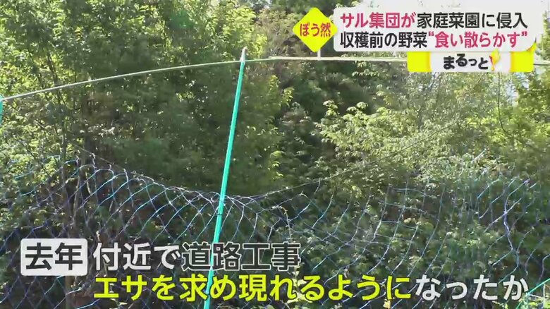 「イット！」8月16日放送分より