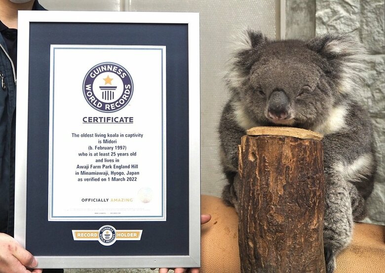 ギネス世界記録撮影時のオフショット　目をつぶってしまっている（提供：イングランドの丘）