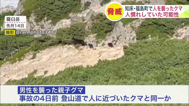 羅臼岳で7月14日に目撃された親子グマ（撮影：@ren_photo3417）