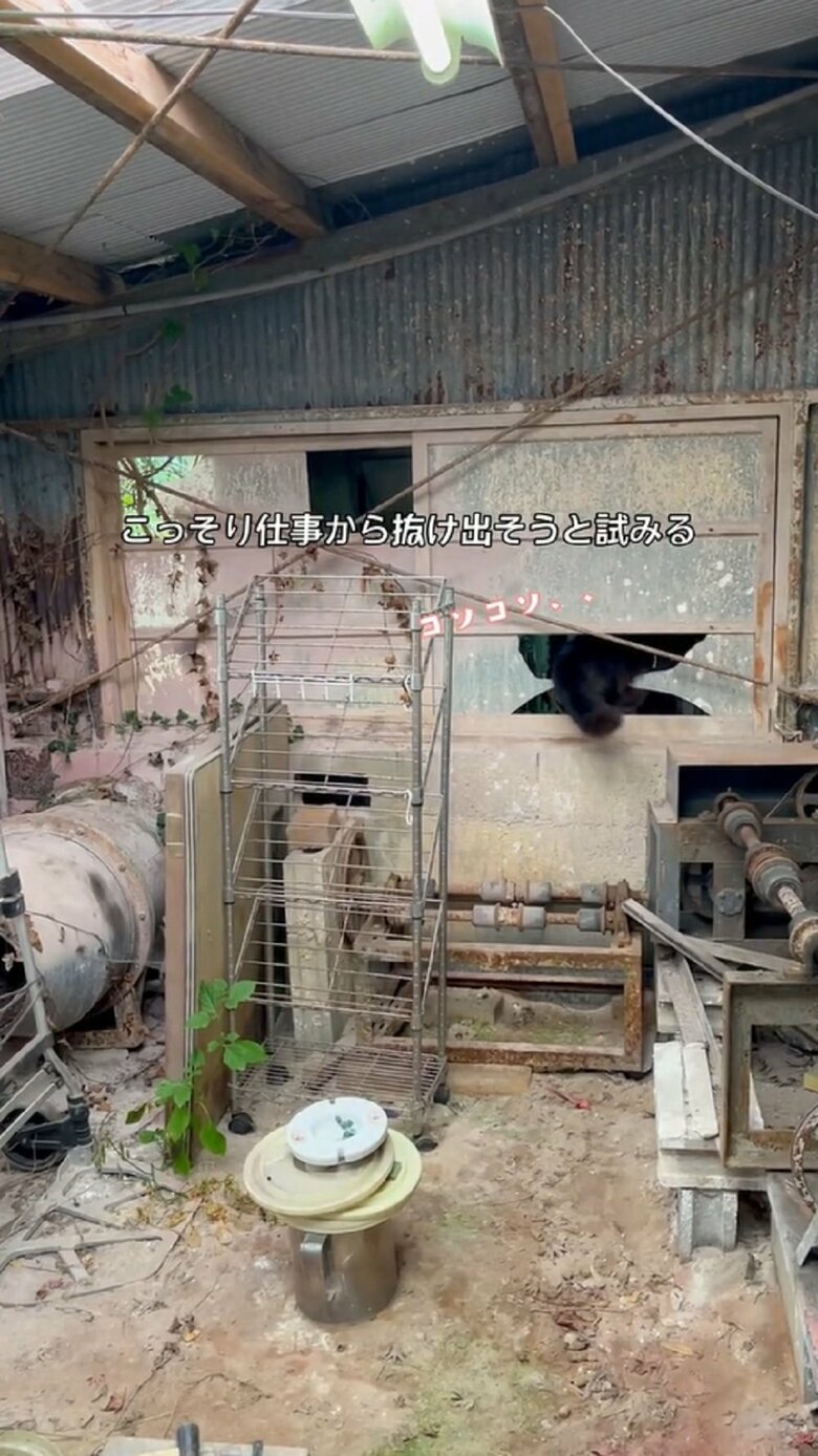 仕事ばっかりだと嫌になることもある。こっそり抜け出すことも…