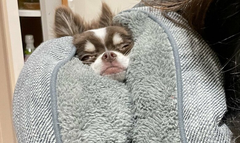 「全てを諦めた表情」のそると君