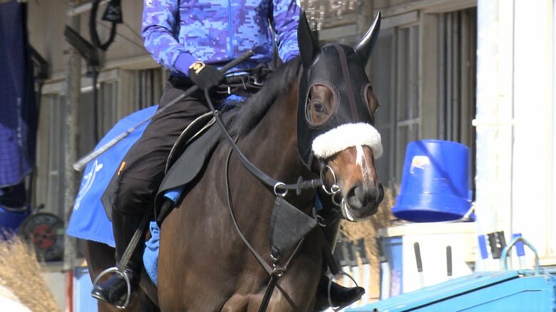 最終追い切りに臨むにシックスペンス