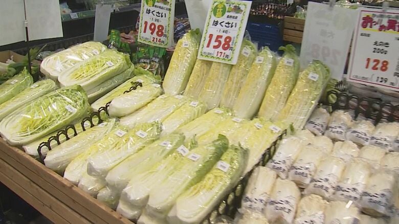 鍋料理の具材として需要増える白菜