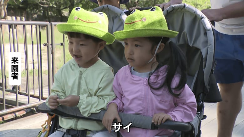来園者