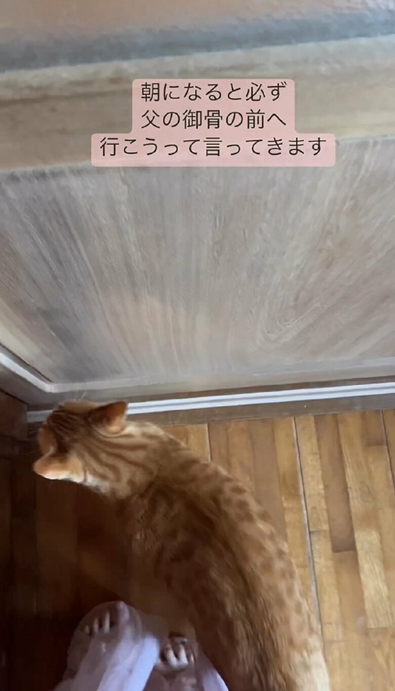 早く進みたい様子のちびくん