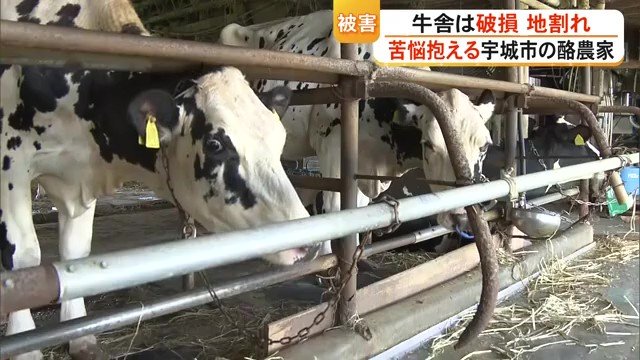 牛舎に被害、牛たちの様子に変化　「これを機会にやめるのも…」苦悩抱える被災地の酪農家【令和8年熊本地震】