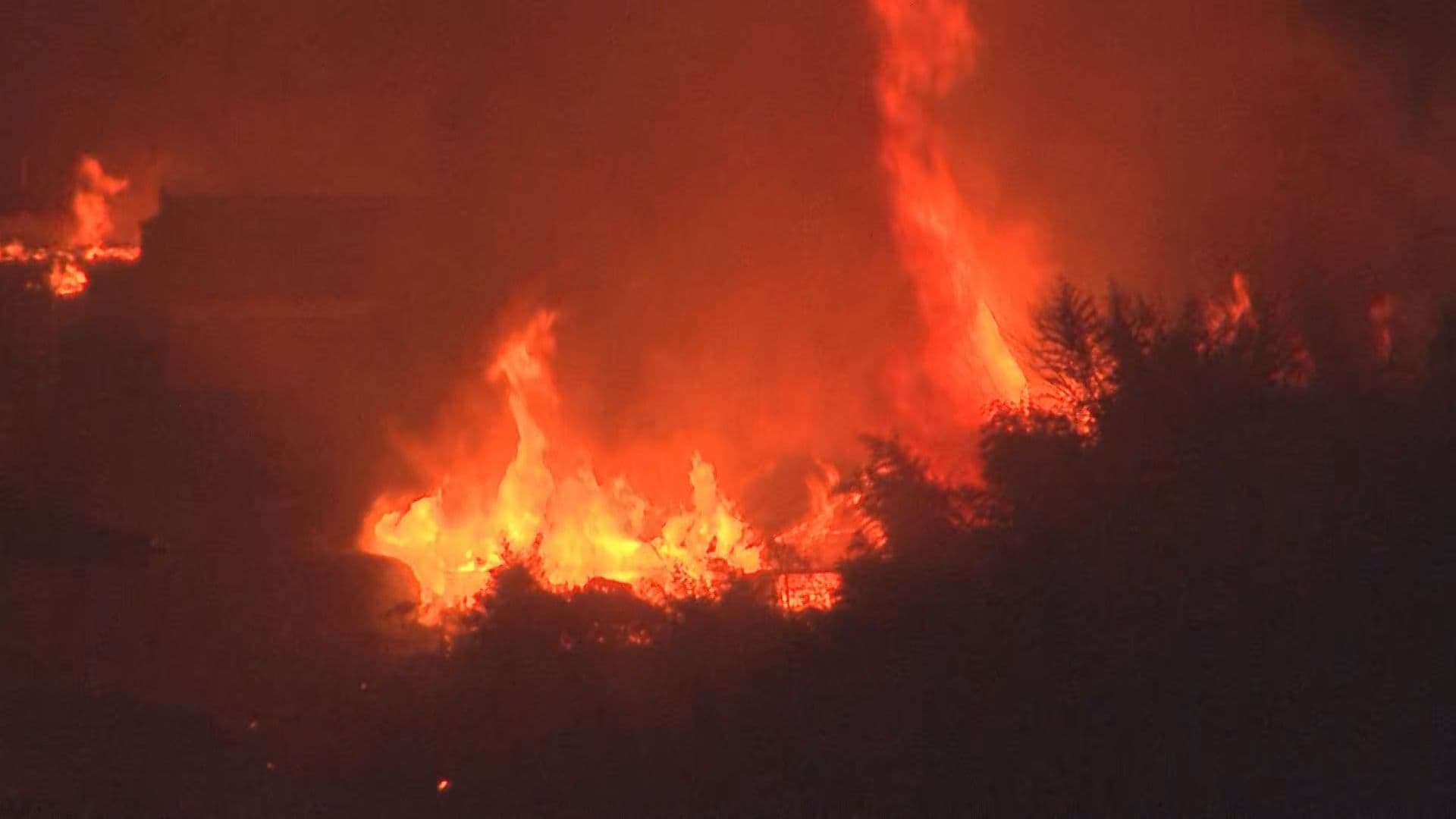 「心が折れそう…」平成以降最大の岩手・大船渡山林火災から10カ月　被災者の55世帯が未だ仮の住まい　森林所有者の4割が「復旧希望せず」の現実