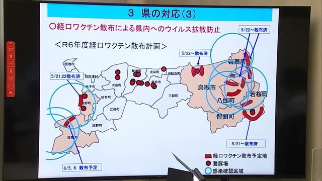 鳥取県西部で初確認「豚熱がじわじわと…」平井知事が警戒感 日南町で野生イノシシが感染