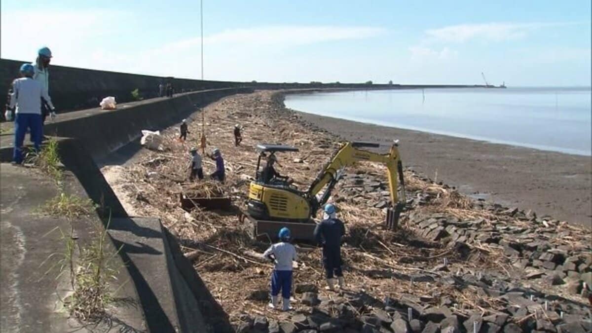 ショップ 流木で作られた行灯 長く海の中を漂って新潟の海岸に到着した流木から作られた行灯