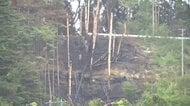 鎮火判断へ調査続く　岩手・大槌町山林火災1カ月　新たな熱源確認されず
