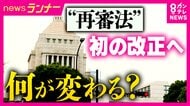 【解説】改正「再審法」　参議院の委員会通過でも残る懸念　採決前の討論でも「不十分」との声も　“抜け道”“救済につながらない”との指摘が残る