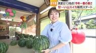 「本当に甘い！」双海の山スイカ　伊予市の国道５６号沿いで今年も販売「毎年、毎週来る」【愛媛】