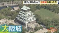 大阪城の古井戸に沈められた「黄金伝説」　探してみると“金魚”が2匹　地上の石垣は“徳川”　“豊臣石垣”は地下で発見　「大阪城」の歴史を再発見【大東駿介てくてく学】