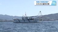 カキ大量死への対策　海底を畑のように耕す「海底耕うん」を初実施　９日には牡蠣殻撒きも　広島・江田島市