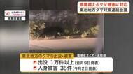 東北６県でクマ出没１万件超　国と自治体が対策会議　関東・北陸も新たに加わり県境を越えた連携へ〈宮城〉