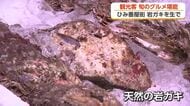 【お盆スケッチ】旬の岩ガキを生で ひみ番屋街で観光客らグルメ満喫 お盆でにぎわう