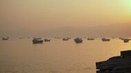 IEA、来年にかけ石油供給回復の見通し　一方で供給過剰の可能性も