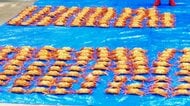 販売目的で密漁か？不法にとった毛がに600匹余りを所持した疑い_漁業の男2人を含む合わせて5人を逮捕_漁船2隻でそれぞれ密漁か？〈北海道 森町〉
