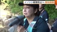 「コメ約300kg捨てた」田んぼ荒らす“イノシシ”　被害防止へ専門家が現地調査「電気柵で森と農地にラインを」新潟・長岡市