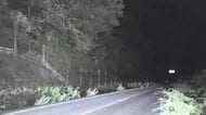 「山から30mほど滑落」と通報…国道の法面で防災点検中だった52歳作業員が滑落 意識不明の状態で搬送も死亡