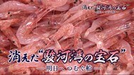 漁師や加工業者の覚悟や思い描く「消えた“駿河湾の宝石”ーあすへつむぐ船ー」5月30日放送