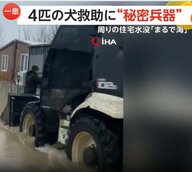 「大至急ここから救助しないと！」豪雨で水没した住宅に取り残された4匹の犬　近隣住民が“重機”使い無事救出　トルコ
