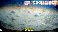雪道に潜む危険！冬の車トラブル【しらべてみたら】