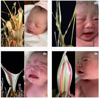 赤ちゃんの産声が 生け花 に 神秘的なアートはどんな仕組み 制作者に聞いた