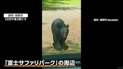 猫まで食べるのか」飼い猫「タマ」をクマが襲撃 家のそばで死骸