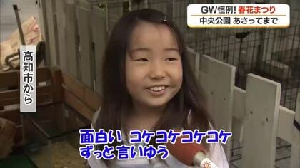 GW恒例「こうち春花まつり」高知市で開幕　4万鉢の花彩る　4日はアナウンサーのトークショーも