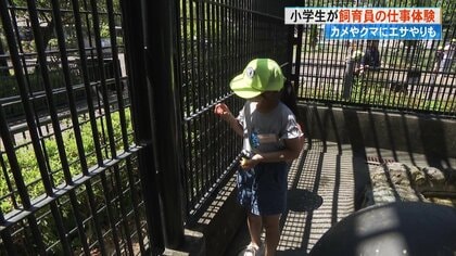 子どもたちが飼育員に！クマのおりにも“潜入”し動物園の裏側を体験　わんぱーくこうちアニマルランドでサマースクール