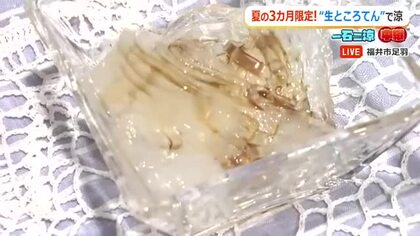 夏の3カ月限定「生ところてん」で味わう“極上の涼”　創業170年、福井の老舗「麩市」自慢の地がらしと酢醤油でさっぱりと