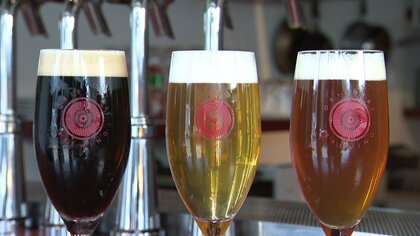 夏に飲みたいクラフトビール　醸造会社の次の一手は地元のコメを使ったウイスキー【石川発】