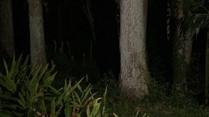 「男性が襲われた」クマ被害相次ぐ…群馬県で男女2人重軽傷