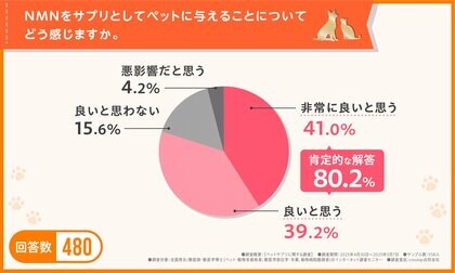 【獣医師らの80%以上が肯定的!】NMNはペットにも有効?専門家が勧める理由