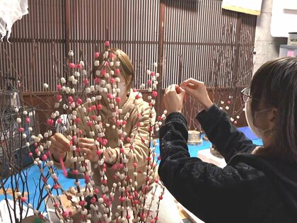 つきたての餅を柳などの枝に…岐阜県飛騨地方の正月飾り『花もち』づくりが最盛期 サイズが2m超の特注品も