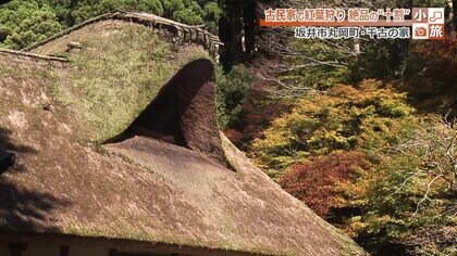 源頼政の子孫・坪川家が代々守る「千古の家」　“納屋カフェ”では子孫が手打ち十割そばでおもてなし